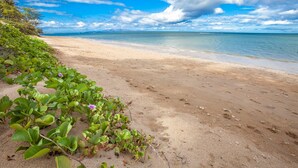 A beach with clear skies, calm waters, and green vegetation along the shore. - Affordable quality in central location, Oceanside Complex  (Kihei)