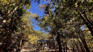 A pathway leading to a house surrounded by tall trees. - Serendipity, Sauna,Swimming Pool & Hot Tube, billiard, Secluded (Albrightsville)