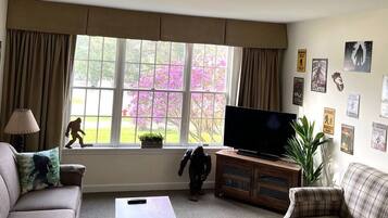 TV, fireplace, DVD player, books
