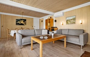 TV, fireplace, DVD player