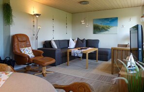 TV, fireplace, DVD player