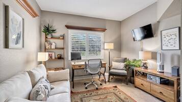 Smart TV, fireplace, books