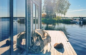Eine Holzstege ragt in einen ruhigen See, mit einem Hund auf dem Steg und einer Glastür, die zu einem Gebäude führt.