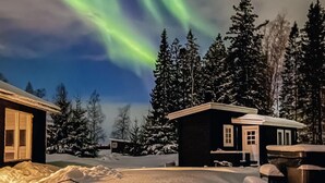 Eine Hütte mit schneebedecktem Dach, umgeben von hohen Nadelbäumen und einem klaren Nachthimmel.