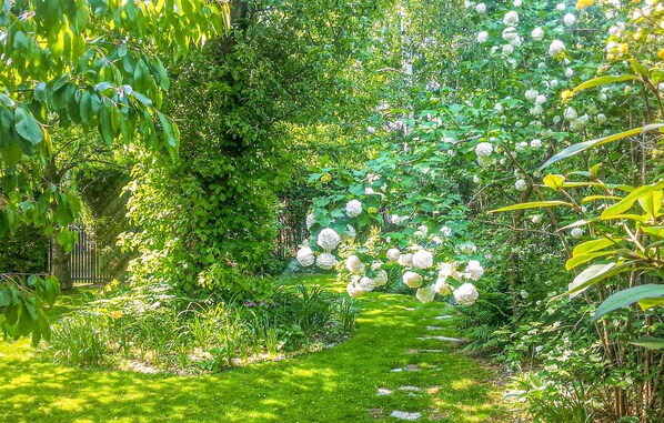 Àrea exterior de l'allotjament