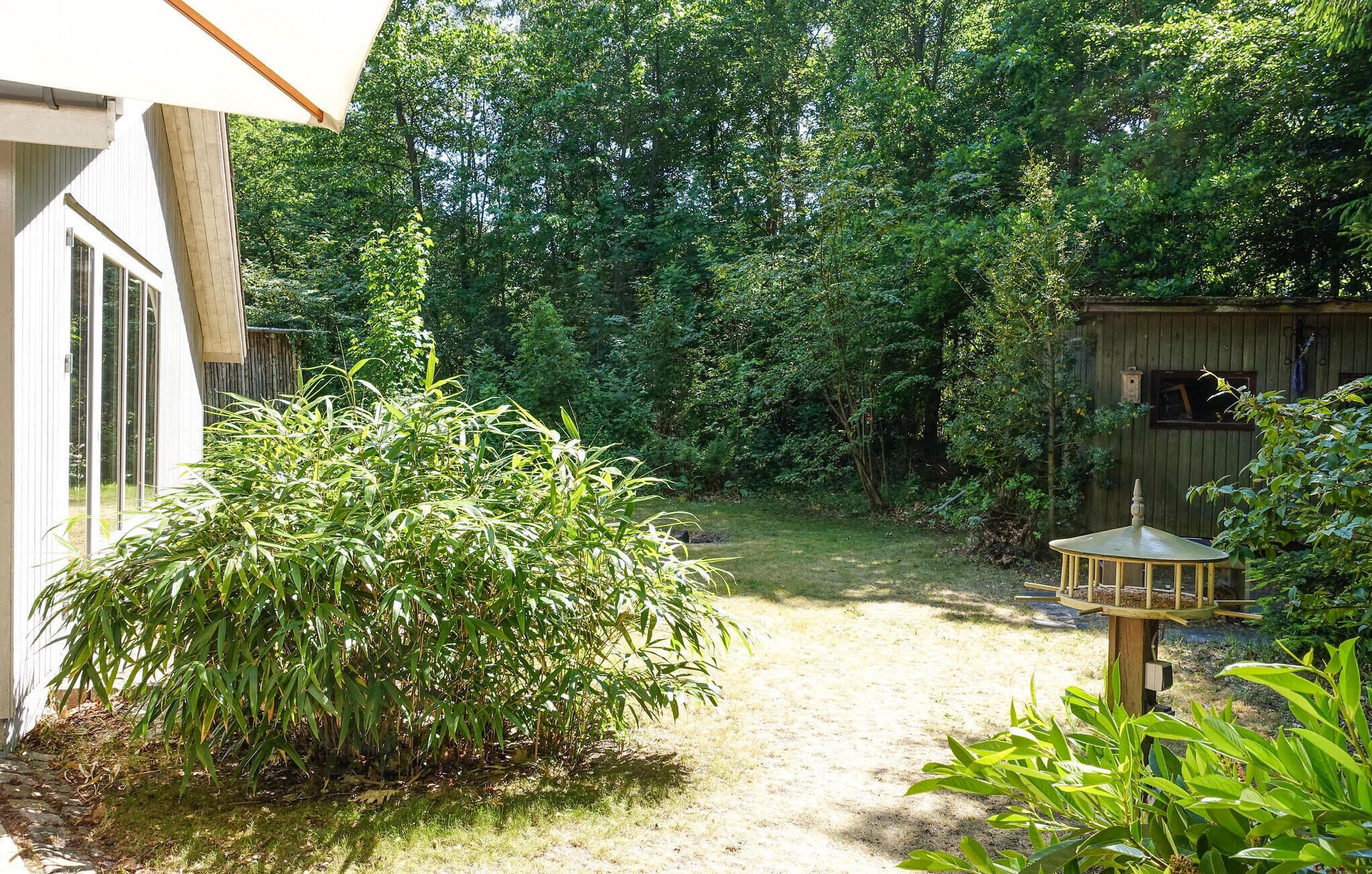 Ein Garten mit einem Bambus, einer Holzkonstruktion und einem Vogelfutterhaus.