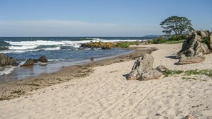Una spiaggia sabbiosa con affioramenti rocciosi e un albero sulla destra.