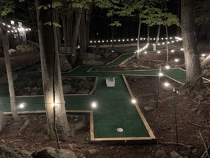 Property grounds - Visit Willow’s Place! All season Pocono Retreat!  Kayaks, Canoes and Pedal Boat! (Lake Ariel)