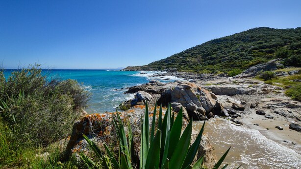 A coastal landscape with rocky terrain, clear blue sea, and a hill with dense vegetation. - 1 bedroom amazing apartment in Monticello (Monticello)