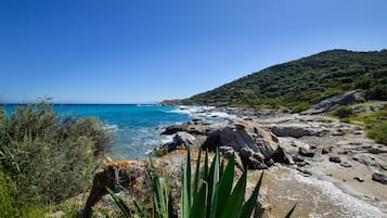 Vlak bij het strand, vissen