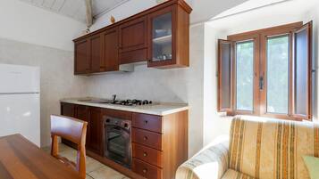 Fridge, oven, stovetop