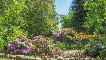 Jardines del alojamiento