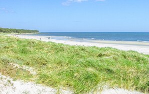 Ein Strand mit Dünen und freiem Blick auf den Ozean.