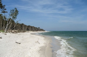 Nära stranden