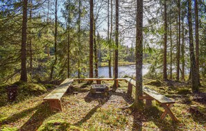 Picnicområde med bænke og bålplads omgivet af høje træer og en sø.