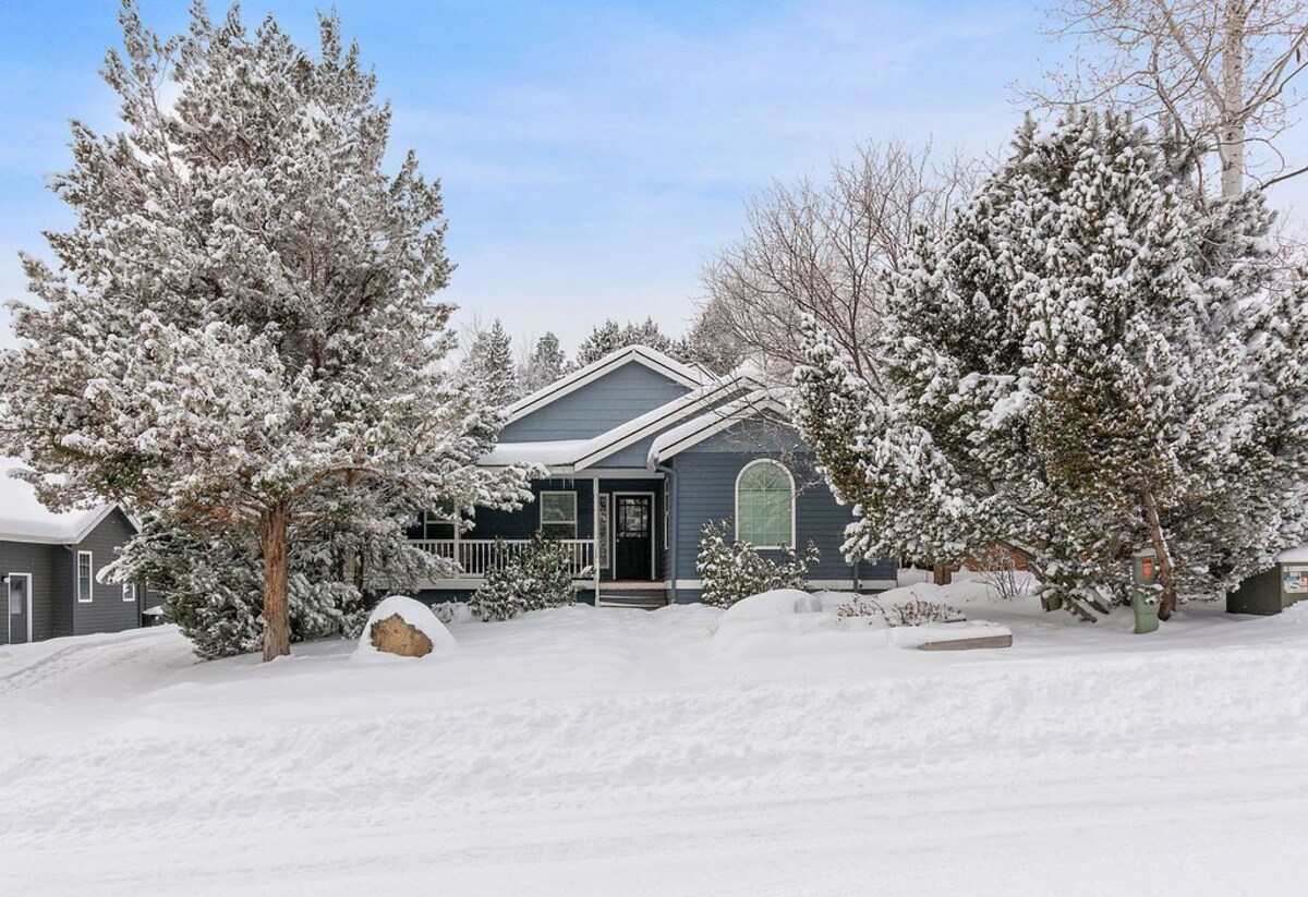 Imagen de perfil del propietario o de la propietaria