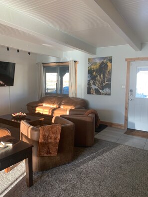 Smart TV, chimenea, reproductor de DVD y libros