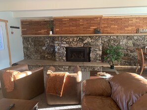 Smart TV, chimenea, reproductor de DVD y libros