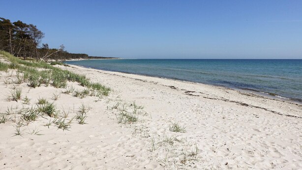 A sandy beach with clear blue water and sparse vegetation. - Beach front apartment in Nexø with WiFi (Nexø)