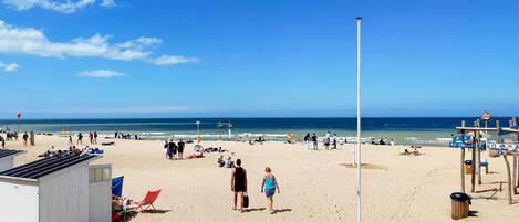 Playa en los alrededores y pesca