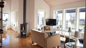 Télévision, cheminée