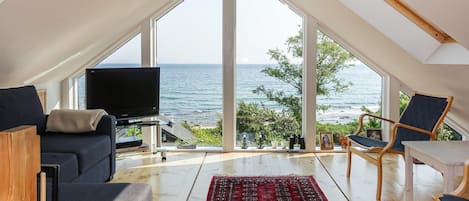 Télévision, cheminée, lecteur de DVD