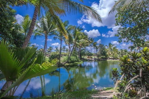 Punta Cana Condo With Swimming Pool - Bavaro Condo Cocotal Sanitized