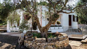 Villa | 4 camere, Internet