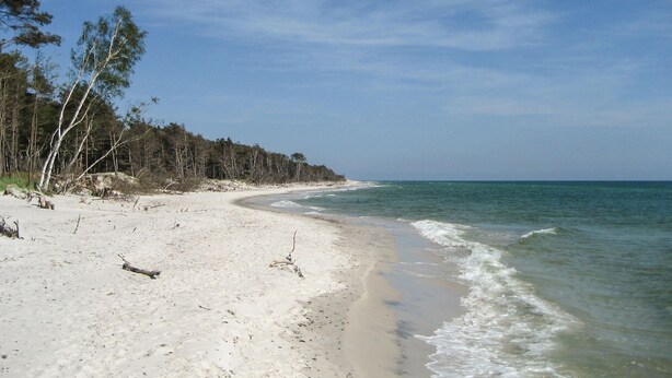 Una spiaggia con sabbia bianca, acque cristalline e vegetazione rada.