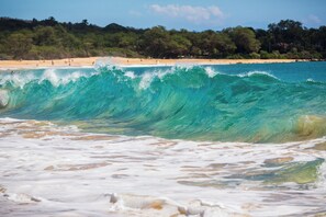 Enjoy the sound of waves gently lapping at the shore, surrounded by lush trees and scenic views.