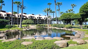 Surrounded by lush tropical plants and palm trees, this resort offers tranquil views from its multi-story buildings with balconies.