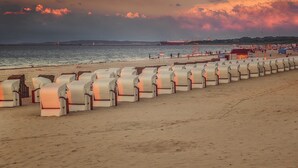 Une plage bordée de rangées de chaises abritées, avec un navire en arrière-plan.