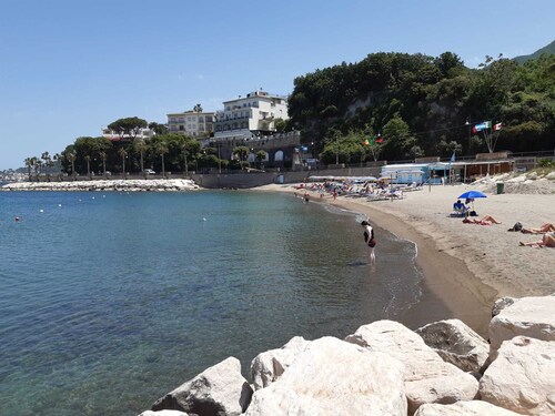 Mediterranean garden