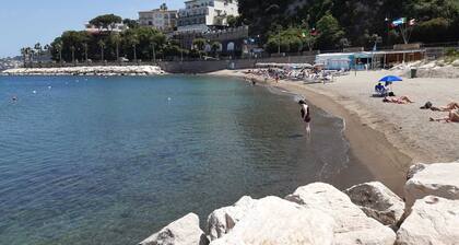 Mediterranean garden