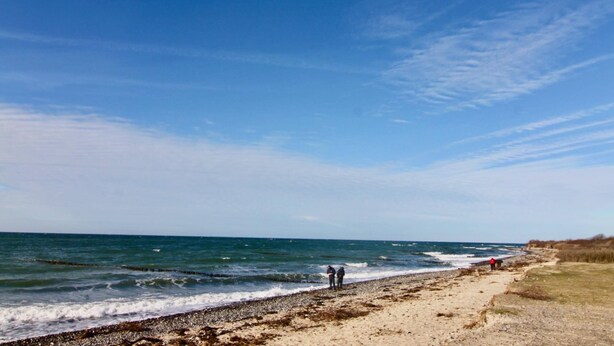 Une plage avec un ciel dégagé et une mer calme.