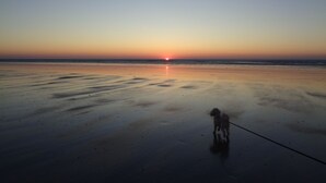 Ein Strandbild mit einem Hund an der Leine, ruhigem Meer und einem Sonnenuntergang im Hintergrund.