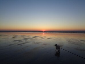 Beach nearby, sun-loungers