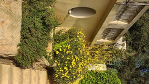 Uma escada com um muro de concreto de um lado e um corrimão de metal do outro.