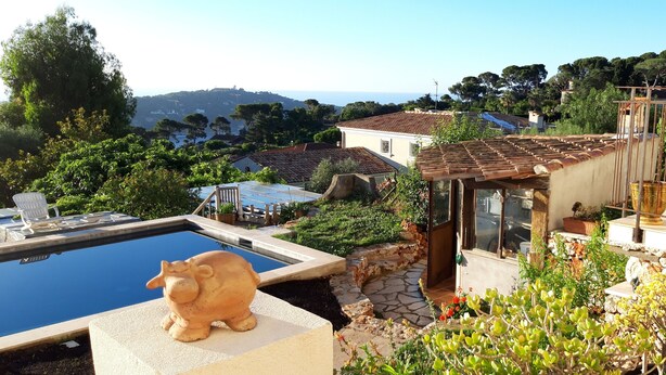 Piscina com borda de pedra, jardim com diversas plantas e vista para a paisagem ao redor.