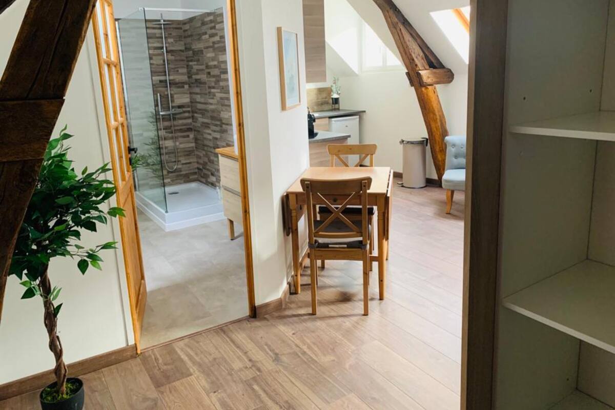 A modern interior with a wooden dining table and chairs, a glass shower enclosure, and a kitchen area.
