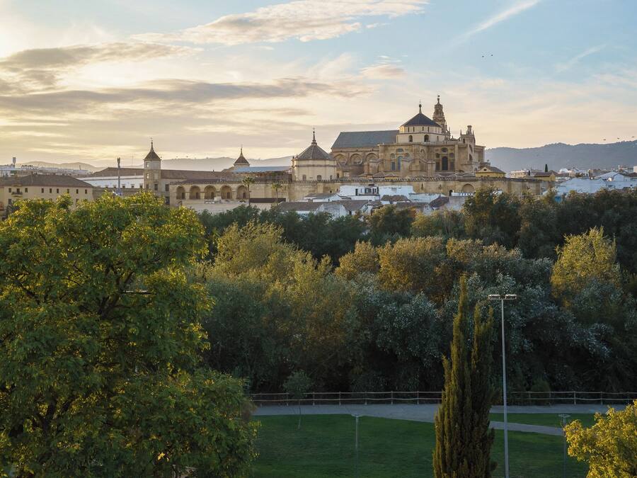 A historic building complex with multiple structures, including a prominent church with a dome and bell towers, surrounded by lush greenery and a clear sky.