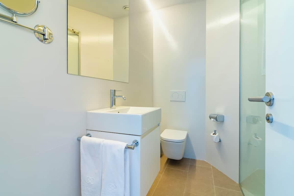 Douche, articles de toilette de luxe, sèche-cheveux, bidet