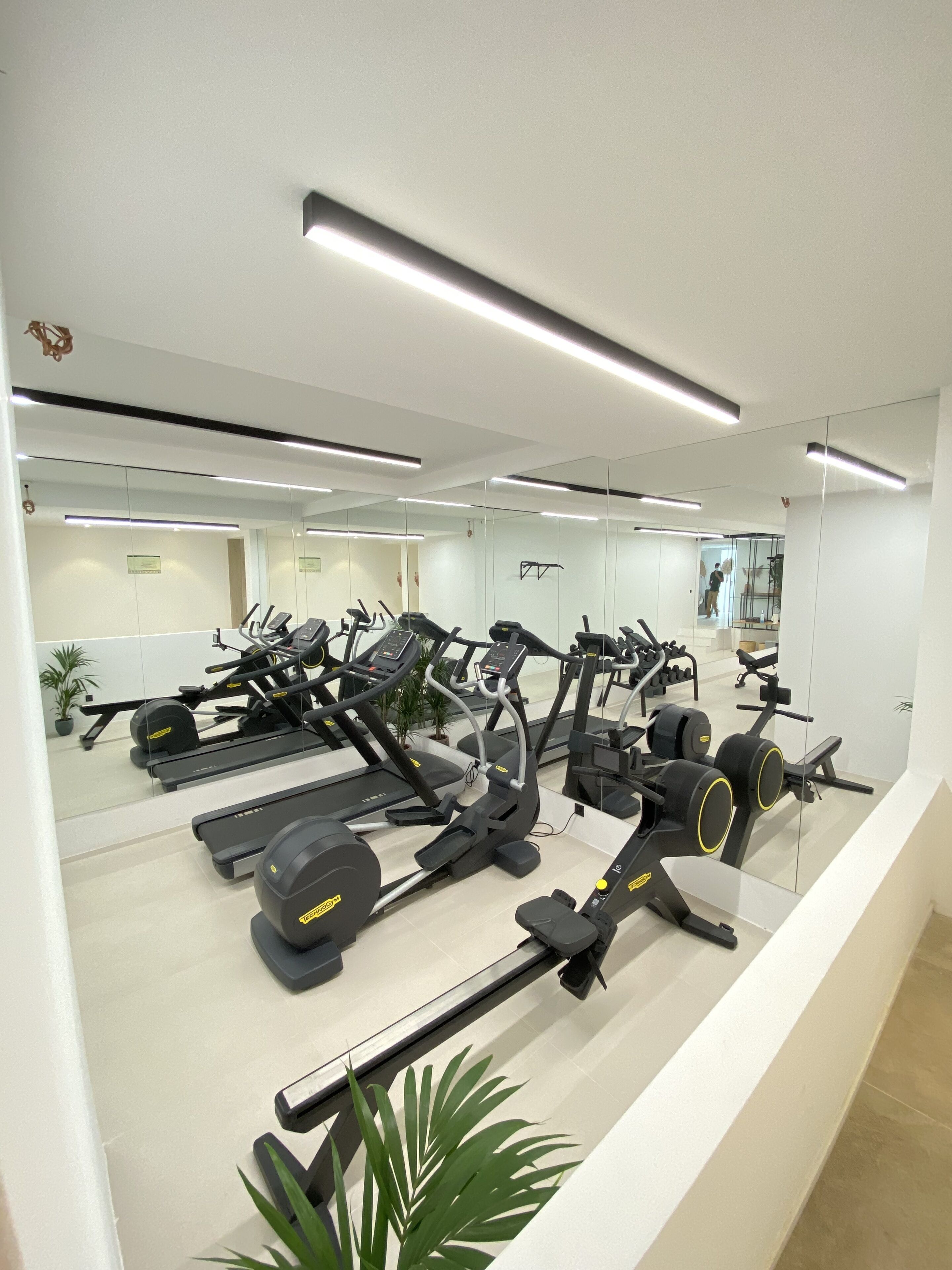 Un gimnasio moderno con diversos equipos de ejercicio, incluyendo cintas de correr y máquinas de pesas, y un espejo grande que refleja el espacio.