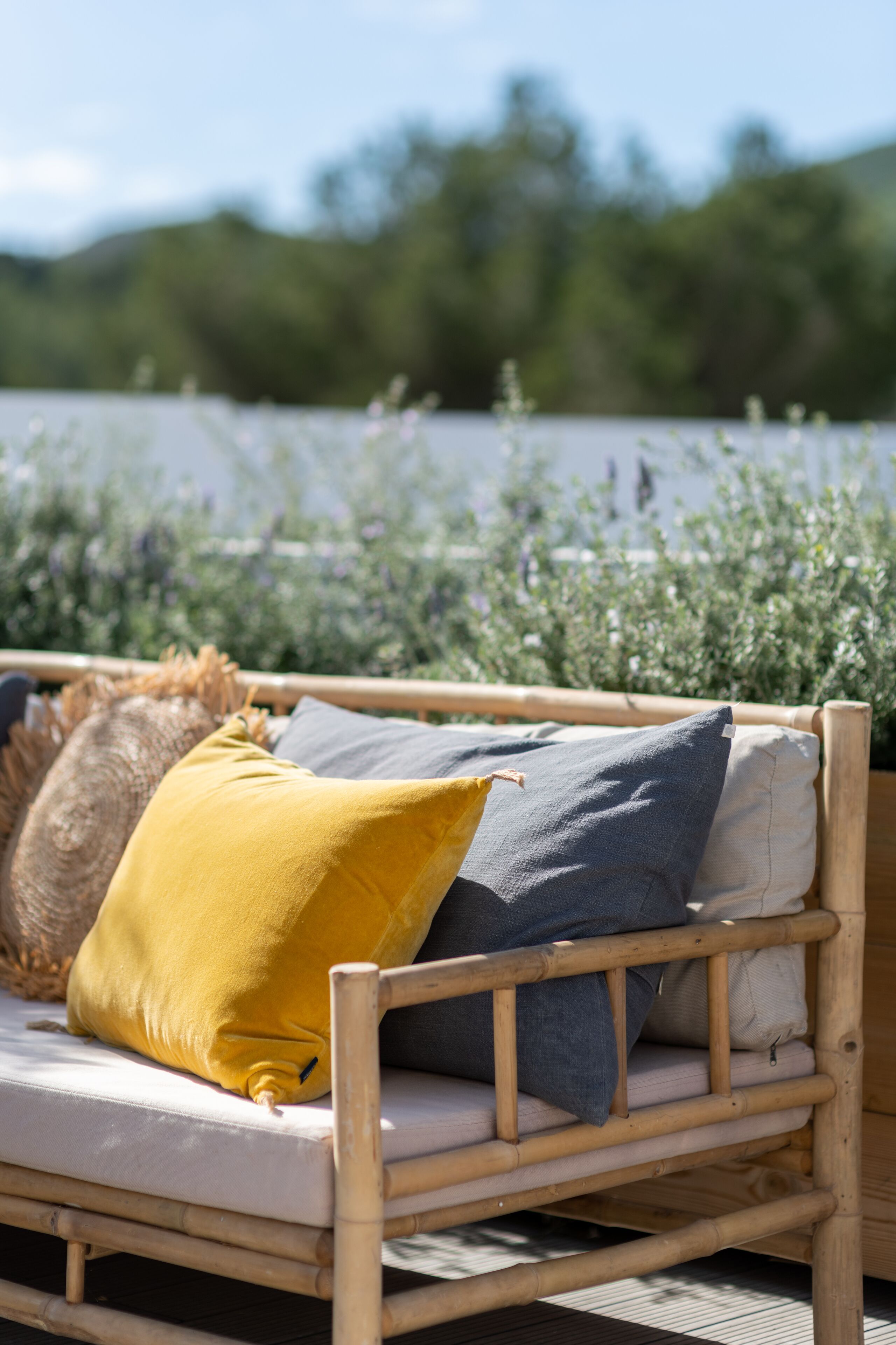 A wooden bench with cushions in a garden setting.