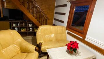 Smart TV, fireplace, books