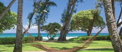 Terrain de lâhĂ©bergement