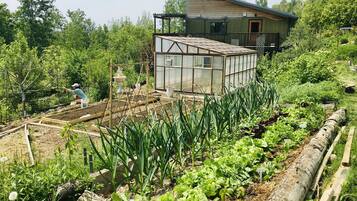 Terrain de l’hébergement