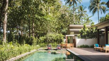 Un área de piscina con sillas de descanso y un muelle de madera, rodeada de vegetación exuberante y palmeras.