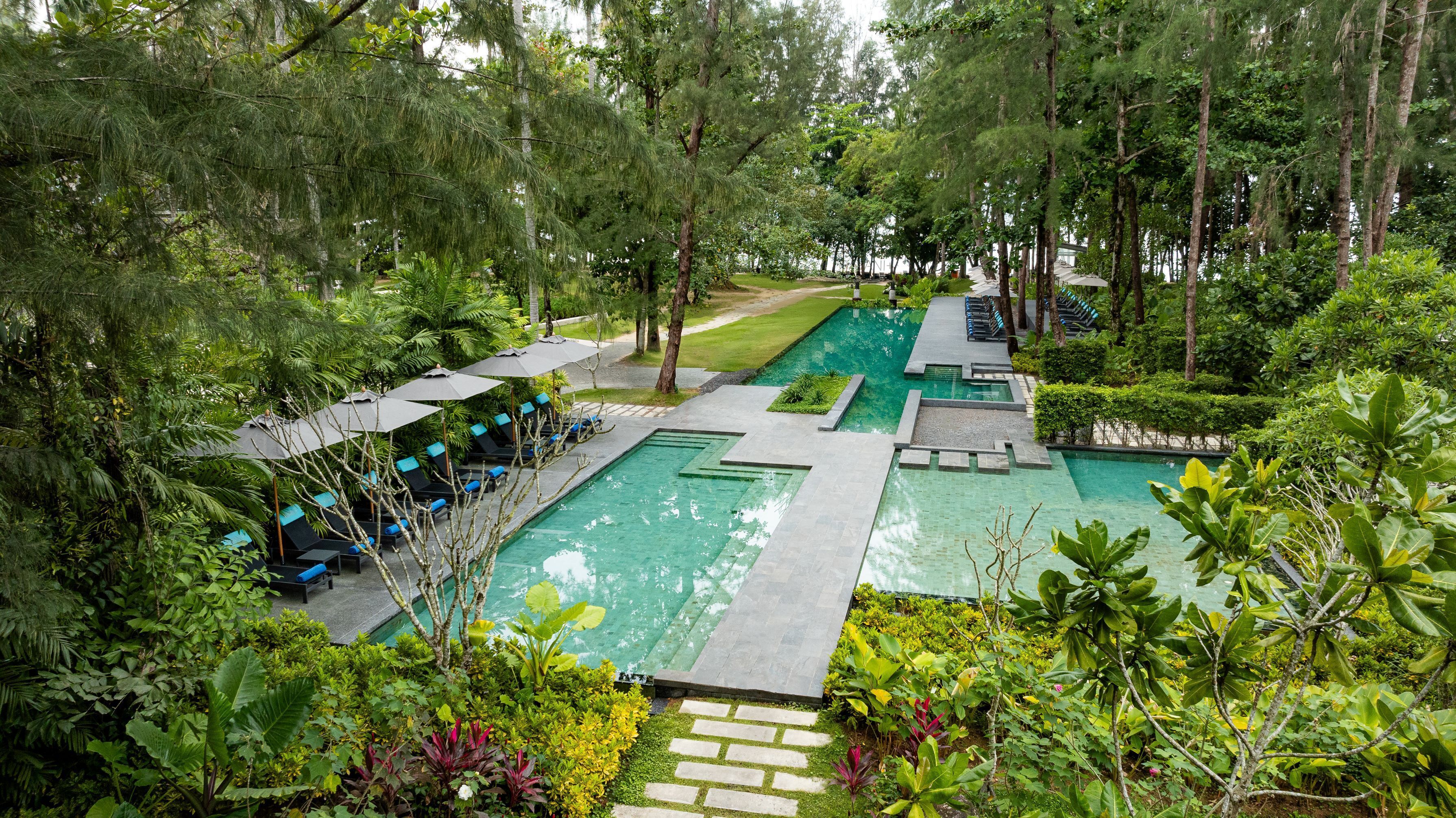 Un área de piscina con varias secciones, rodeada de abundante vegetación y árboles.