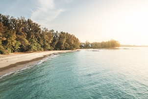 A beach with clear turquoise water, sandy shore, and dense forest on the left.